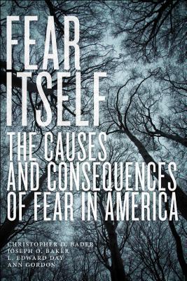 Read Fear Itself: The Causes and Consequences of Fear in America - Ann Gordon file in PDF
